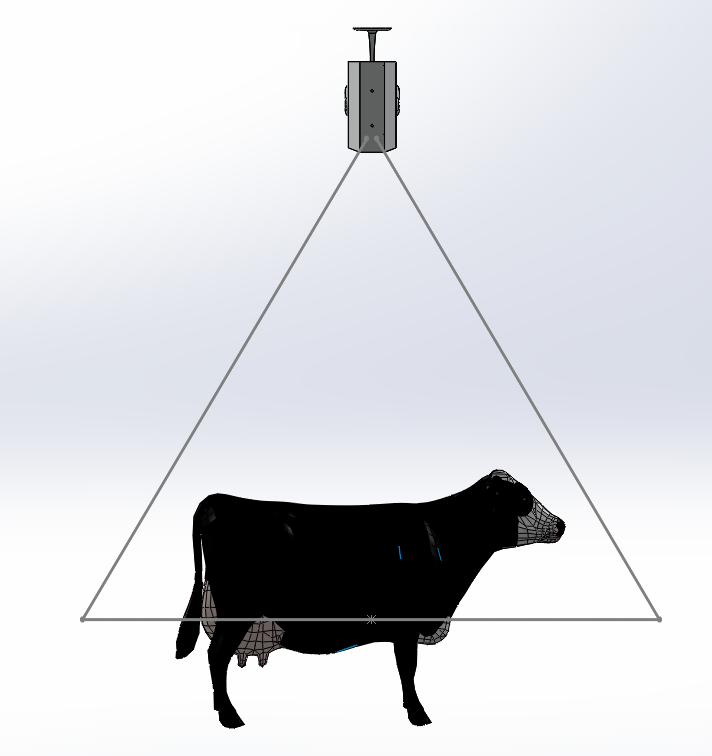 Hayalet Baskül Terazi Büyükbaş Küçükbaş